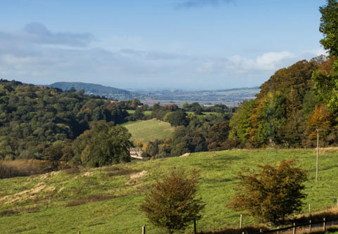 Broadway Tower Cottages View